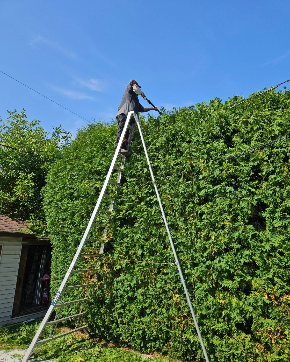 IMG_20241009_222258_232